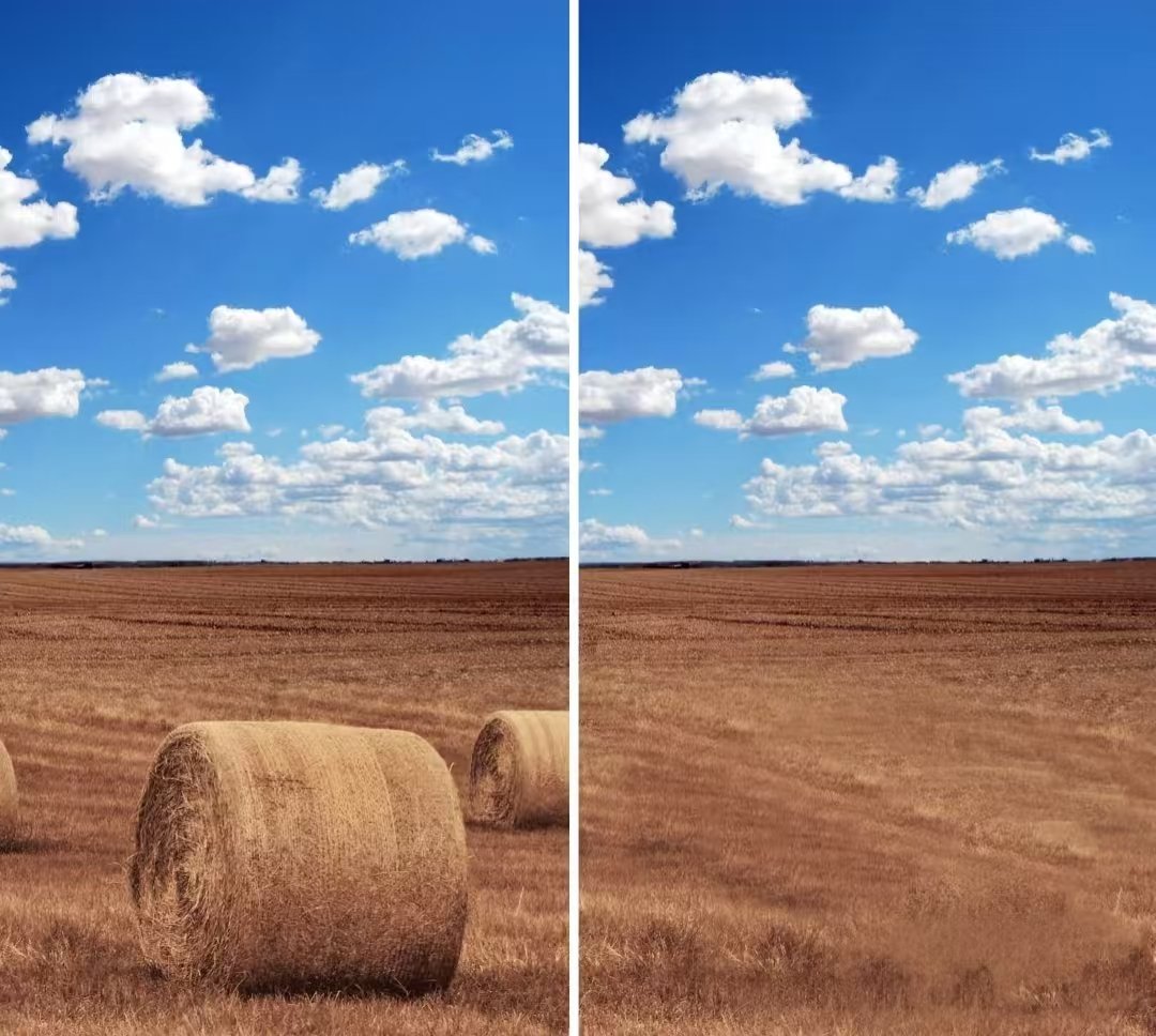 ブラシで何でも消去 — AIオブジェクト削除